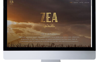 The Subconscious Power of Exceptional Web Design